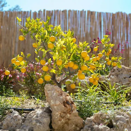 Lily's Lemonia Villa *